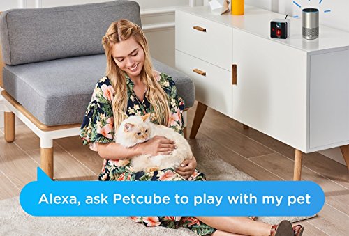 Petcube Play Pet Camera with Interactive Laser Toy. Monitor Your Pet Remotely with HD 1080p Video, Two-Way Audio, Night Vision, Sound and Motion Alerts. Compatible with Alexa (Certified Refurbished)
