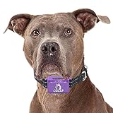 E Shock Bark Collar - Vibration Anti Bark Collars - Rechargeable - Pain Free Option - Automatically Trains Your Dog