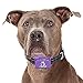 E Shock Bark Collar - Vibration Anti Bark Collars - Rechargeable - Pain Free Option - Automatically Trains Your Dog