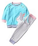 Fiream Girls 2 Piece Cute Cartoon Cotton Long Sleeve set(Bunny,3T)