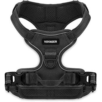 Voyager by Best Pet Supplies -Dual-attachment No-Pull Adjustable Harness with 3M Reflective Technology, (Black, Medium)