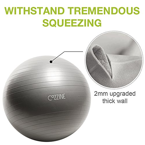 Exercise Ball, Cozzine 65CM Fitness Balance Ball with Hand Pump, Workout Guide, Anti Burst Flexible Seating Stability Ball Yoga Gym Exercise Equipment for Women, Men (Office/Home)