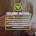 RSP Matcha Bomb (150g) - Organic Matcha Green Tea Powder with MCTs for Natural Energy and Clarity, Non-GMO, Keto Friendly, Vegan Friendly, Gluten Free, Unflavored Matcha (20 Servings)