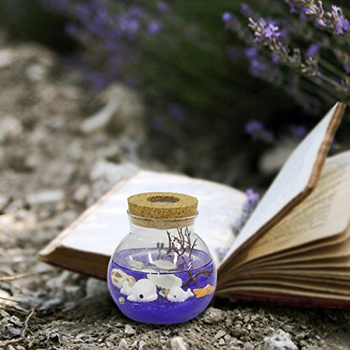 Jeteven Microlandschaft DIY LED Glass Bottle Light Night Light with Remote Control 4 Modes Home Room Party Christmas Decor