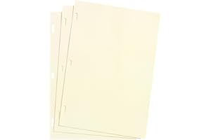 Wilson Jones Looseleaf Minute Book Ledger Sheets, Ivory, 11" x 8-1/2, 100 sheets/box (901-10)