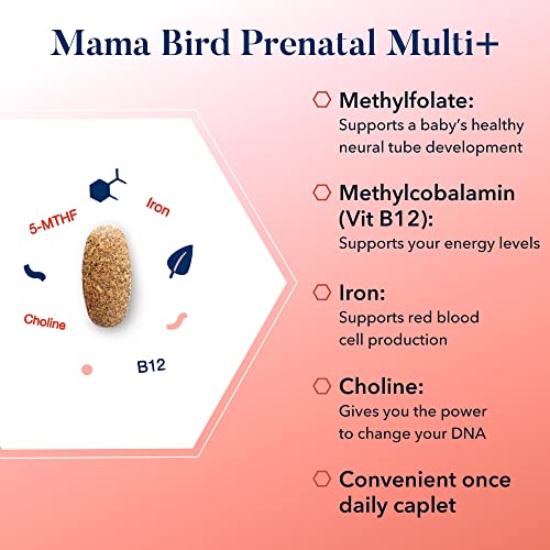 Mama Bird Prenatal Vitamin, Methylated Prenatal Vitamins, Organic Blend