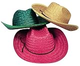 Fun Express Adult Assorted Straw Cowboy Hat (1 Dozen)