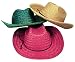 Fun Express Adult Assorted Straw Cowboy Hat (1 Dozen)