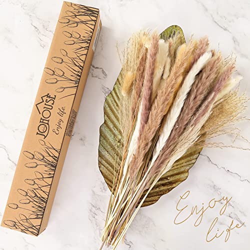 JOHOUSE 60pcs Dried Pampas Grass,White Brown Pampas Reeds Dried Bunny Tails Flowers Vase Boho Home Decor
