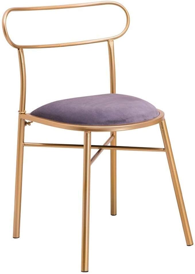 Inicio Accesorios Sillas de comedor Silla decorativa de terciopelo