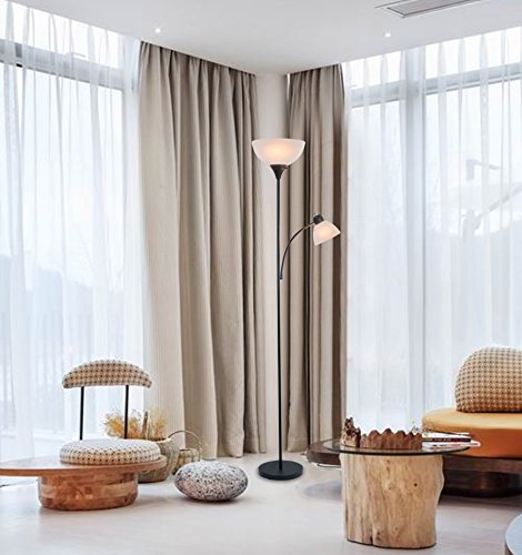 1 Light+Accents+SUSAN+Floor+Lamp