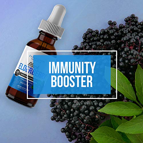 (2 Pack) Elderberry Drops Liquid Extract for Adults - Daily Immune Support Booster 10x Strength Concentrate Syrup - Vegan Sambucus Nigra Antioxidant Drops Supplement (Berry Flavor) (120 Servings)