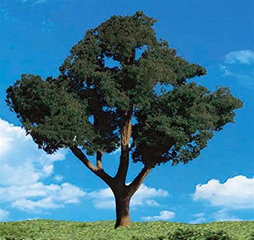 Classics Tree, Cool Shade 1.25-2" (5)