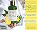 BOTANICAL HAIR GROWTH LAB - Anti-Hair Loss Shampoo - Extra Strength - Ginger Saw Palmetto - Alopecia Postpartum DHT Blocker - 10.2 Fl Oz (Pack of 1)