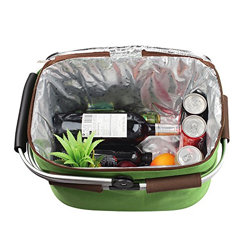 YONOVO 22 L Insulated Picnic Basket Cooler Bag for Famliy Gathering Camping Outdoor Sports(Grass Green)