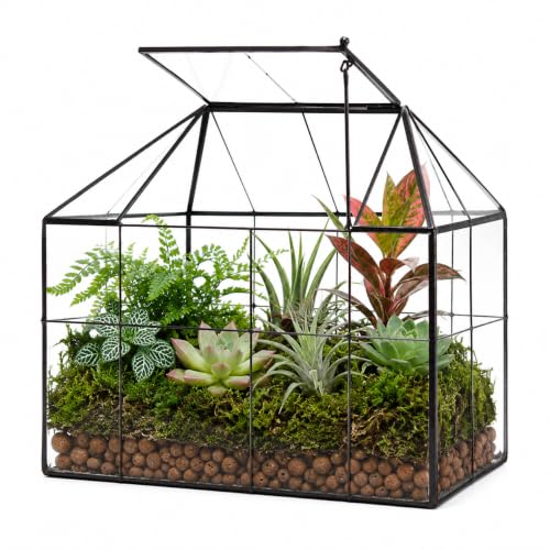 YIMORENCE V House Glass Terrarium