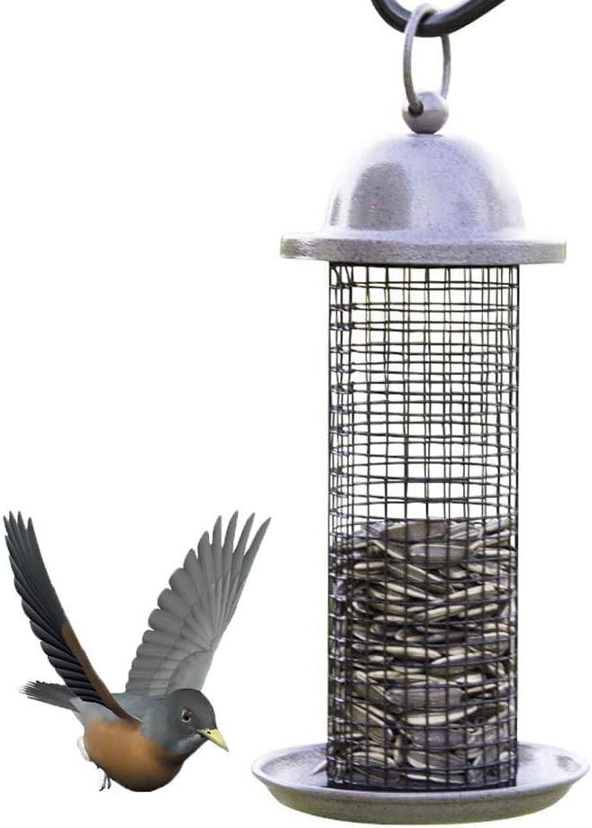 Amazon Com Fxqin Metal Bird Feeders For Outside Hanging Seed