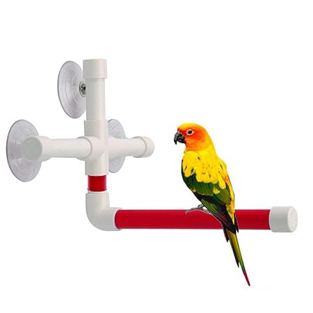 Utopiay Oiseau Rouge Et Perroquet Berceaux Debout Plate