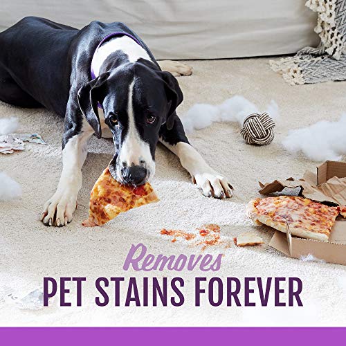 3 STAINMASTER+Carpet+Pet+Stain+Remover