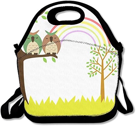 Romantic Owl Reusable Insulated Lunch Bag School Picnic Thermal Carrying Gourmet Lunchbox Lunch Tote Container Organizer For Women,Teens,Adults-Lunch Boxes For Outdoors,Work, Office, Schoo