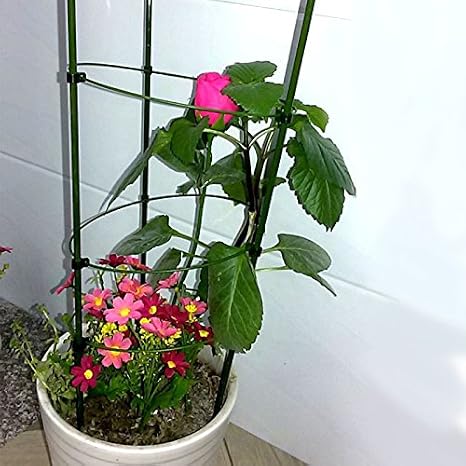 Wewoo Jardinería 2 pcs Escalada Rattan Planta Titulaire Redonda en ...