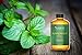 Purest Naturals Peppermint Essential Oil - 100% Pure & Natural Therapeutic Grade - Best Aromatherapy Oil For Diffuser - 30mL 1 Oz