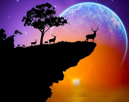 Wowdecor 5d Diamond Painting Kits Animal Deer Sunset Forest Moon Full Drill Diy Diamond Art Cross Stitch Paint By Numbers Deer Amazon In Home Kitchen