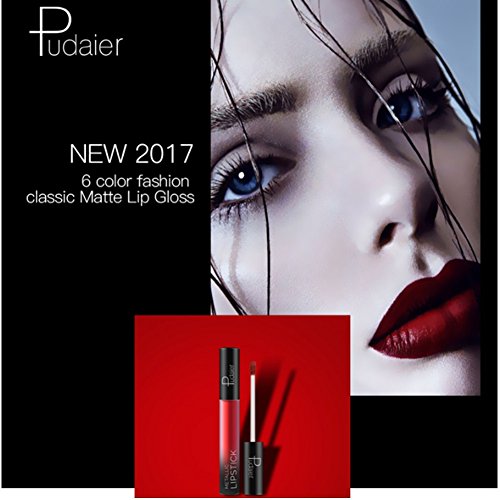 Lip Gloss Set 6 Colors, PUDAIER Waterproof Long Lasting Matte Liquid Lipstick Beauty Lip Gloss (6PCS)