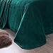 Exclusivo Mezcla Fleece Blanket for Bed, Super Soft and Warm Teal Queen Blankets, All Season Use, Cozy, Plush, Lightweight, 90x90 inches