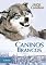 Livro Caninos Brancos