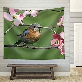 Female Eastern Bluebird (Sialia Sialis) with Pink Dogwood Flowers - Fabric Wall Tapestry Home Decor - 51x60 inches