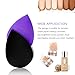 Makeup Sponge,Beauty Sponge blender set and Cosmetics Foundation Blending Sponges-For Powder,Cream or Liquid Application Multi-color (5pcs001)