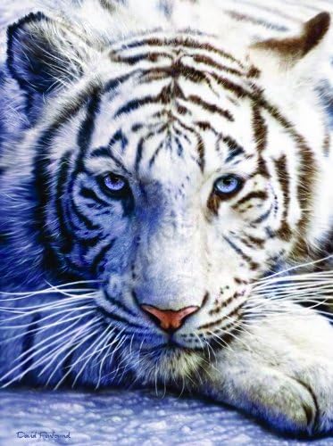 White Tiger Face 1000 Pc Jigsaw Puzzle