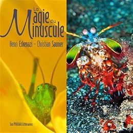 La  magie du minuscule