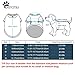 BONDOGLAND Pet Clothes Cute Breathable Puppy Onesies with Bag Soft Cat Vest Short Sleeves Cotton T Shirts Striped for Small Medium Doggie and Cats