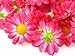 (24) Silk Hot Pink Gerbera Daisy Flower Heads , Gerber Daisies - 1.75