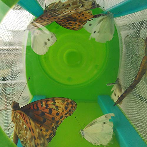 BlueStraw Kids Bug Catcher Critter Case, Portable Exploration Bug House Butterfly Dragonfly Cage Insect Collecting with Carrying Handle Outdoor Nature Educational Kit for Child Boys Grils Gifts