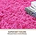 Noahas Ultra Soft Fluffy Bedroom Rugs Kids Room Carpet Modern Shaggy Area Rugs Home Decor 2.6' X 5.3', Hot Pink