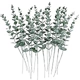CEWOR 24pcs Eucalyptus Stems Decor Artificial