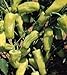 50+ Stavros Pepperoncini Greek Pepper Seeds
