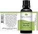 Plant Therapy Lemon Myrtle Essential Oil 30 mL (1 oz) 100% Pure, Undiluted, Therapeutic Grade