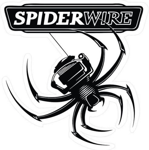 Spider Wire Boat Carpet Graphic for BASS fishing sponsor