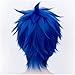 Flovex Short Straight Anime Cosplay Wigs Natural Sexy Costume Party Daily Hair (Blue)