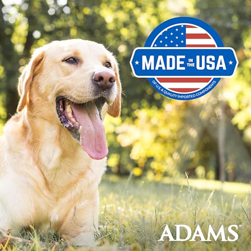 ADAMS PLUS FLEA & TICK FOAMING SHAMPOO & WASH FOR CATS & KITTENS OVER 12 WEEKS, SENSITIVE SKIN FLEA TREATMENT FOR CATS & KITTENS, KILLS ADULT FLEAS, TICKS AND LICE ON CONTACT, 10 OUNCES