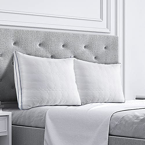 BedStory Hotel Collection Pillows 2 Pack Queen Size, Hypoallergenic