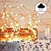 Twinkling LED Fairy String Lights - Fully Waterproof, Indoor Outdoor 39ft 100 Bulb, Standard Plug In + Battery Powered, Warm White Copper Wire Decorative Lighting with Remote Control