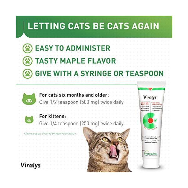 Vetoquinol Viralys Gel LLysine Supplement for Cats, 5oz Cats