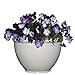 Classic Home and Garden Bellina Planter, 8