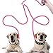 Peteast Adjustable Double Dog Leash, Heavy Duty Dual Dog Leash, 360° Swivel No Tangle & Soft Handle, Walking & Training Leash Two Dogs (Universal(Pink))