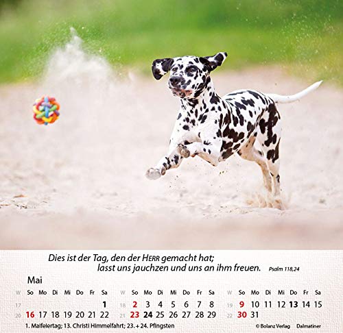 Wunderbare Schopfung Hunde 2012 Fotokalender Mit Bibelversen Amazon De Bolanz Bucher